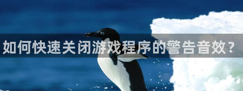 赢咖娱乐下载：如何快速关闭游戏程序的警告音效？
