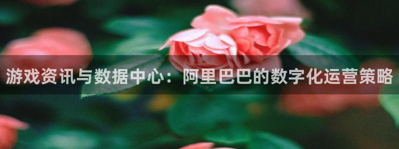 赢咖娱乐怎么注册：游戏资讯与数据中心：阿里巴巴的数字化运营策