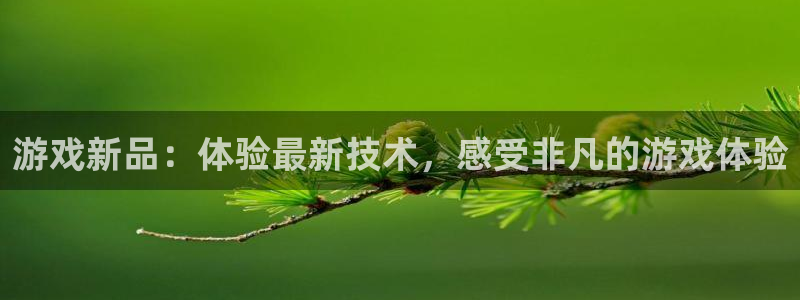 赢咖娱乐登录网址：游戏新品：体验最新技术，感受非凡的游戏体验