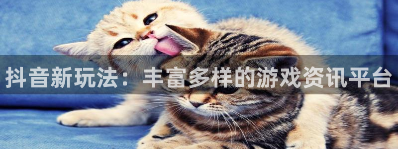 赢咖娱乐平台注册资金多少：抖音新玩法：丰富多样的游戏资讯平台