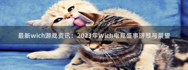 赢咖娱乐注册登录平台：最新wich游戏资讯：2023年Wic